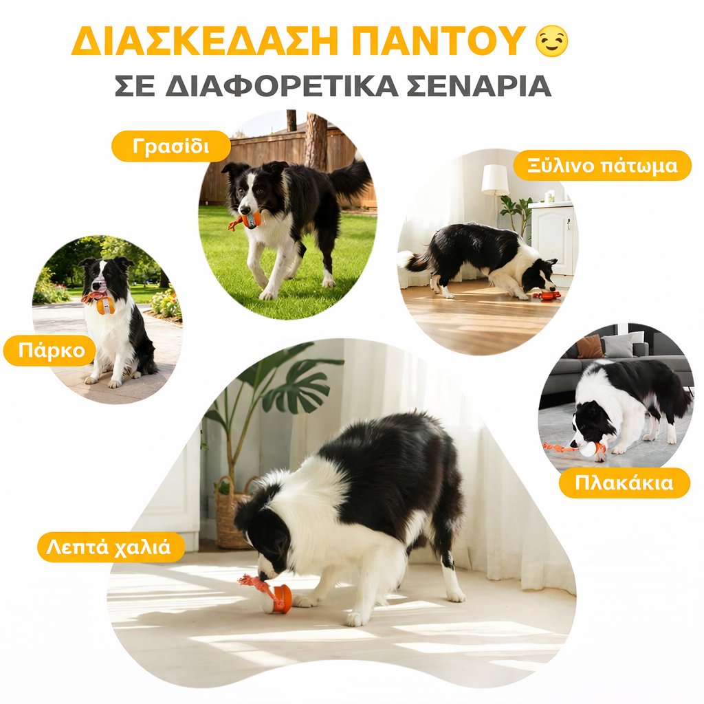 🐾 Έξυπνη Μπάλα Smart Buddy της YOBENSUN™