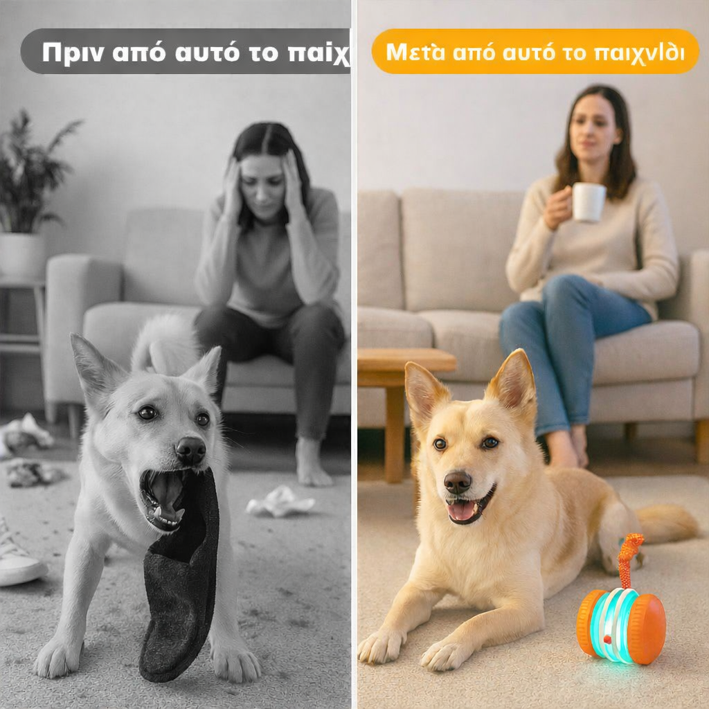 🐾 Έξυπνη Μπάλα Smart Buddy της YOBENSUN™