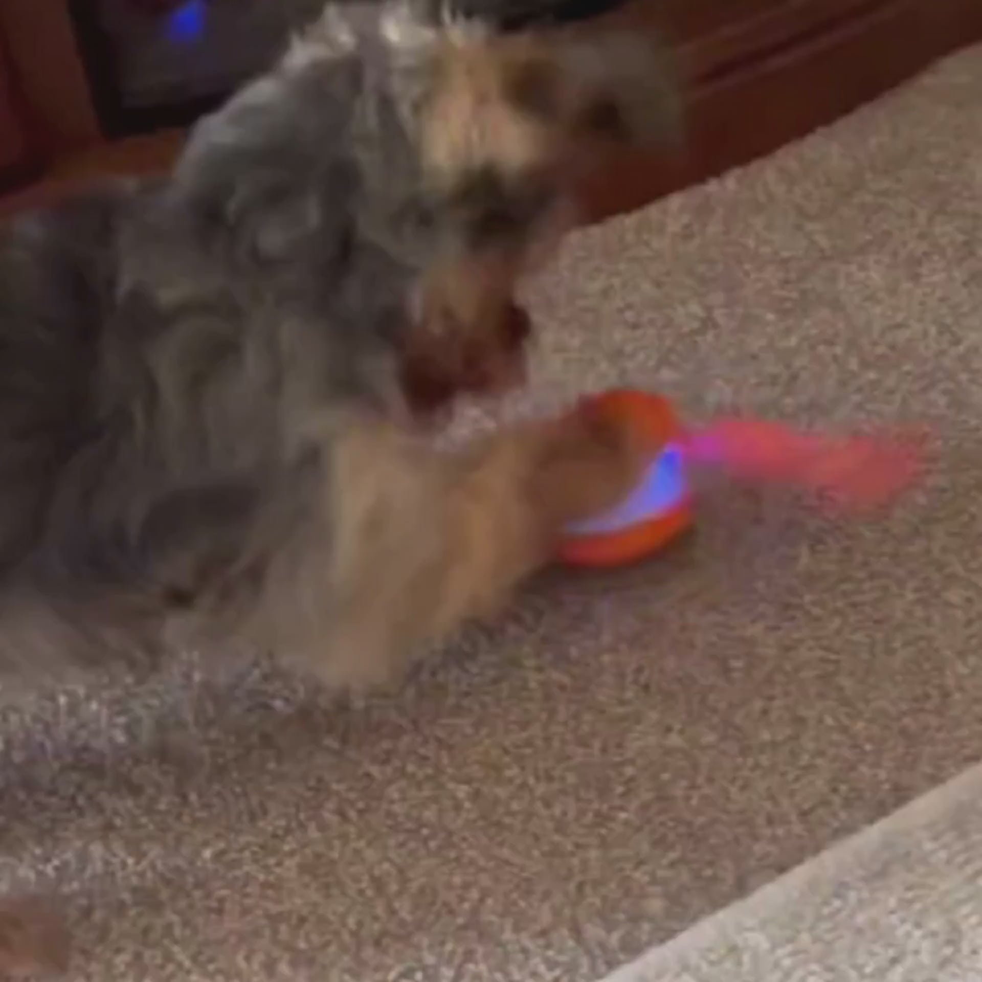 Φόρτωση βίντεο: 